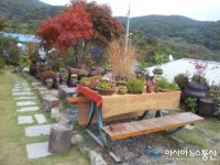 경주 산내면 다봉마을 야생화 전시회 개최