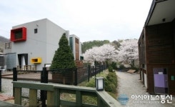 몸과 마음이 힐링 되는 양평 보보스펜션 인기만점!