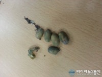 카덴 바리스타 아카데미에서 만난, 야생루왁커피