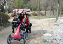 가족과 연인들의 휴식처! 화천군 붕어섬 인기