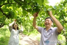 중랑구, 황실배 주말농장에서 수확의 꿈 키워요