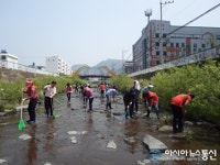 성산구 가음정천 장화활동 펼쳐