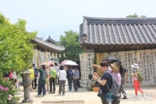 하동을 향한 서울 주부들의 특별한 힐링여행