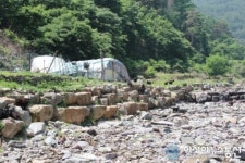 의령 벽계계곡 염소 방목 ”논란”