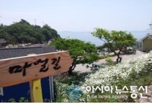 부안마실길 ‘데이지 꽃’ 만발 향연으로 걷기 즐거움 백배