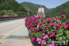 단양군, 녹색 도심경관 ‘새단장’