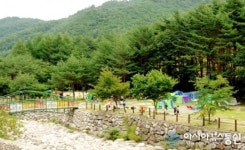 태백산도립공원 야영장 오는 14일 개장