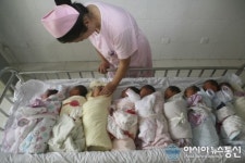 제주 서귀포 리조트 신생아 유기 사망...여고생 유기사실 인정