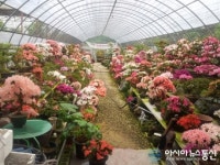 이색휴게소, 정읍녹두장군휴게소(상)