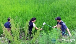 영월군, 강변저류지 모기유충 없다