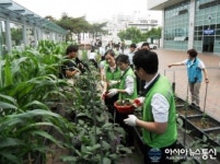 동대구역 광장, 푸른 녹색물결로 변화