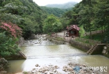 임실 세심자연휴양림 새 단장