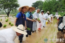 창녕군, 따오기 우포늪 방사대비 쉼터조성 박차
