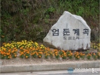 영월 다하누촌 본점이 드리는 여름맞이 착한 이벤트!