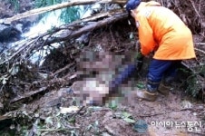 홍천 산사태, 실종 80대 노인 숨진 채 발견