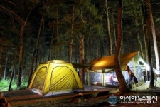 솔내음 안은 무릉계곡 힐링캠프장 오픈