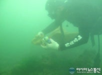 서귀포해경, 소규모 항포구 수중정화활동 실시