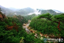 (특집) 울진 불영계곡 丹霞洞天으로 오르는 길