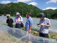 진안군, 고랭지 명품 수박 생산 현장컨설팅