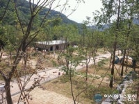 숲속의 별장 팔공산 도학야영장 준공