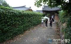 산청군 남사예담촌 토담길 적시는 시원한 여름비