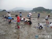 강진청자축제와 함께하는 어촌체험마을 여행