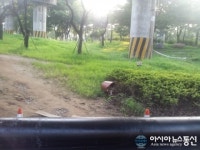 군포시, 시민의 안전을 위협하고있다.