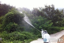 성산구, 귀산동 참다래농장 일원 미국선녀벌레 퇴치 ‘방제’