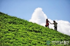 한국 알프스 평창 계촌마을, 아기염소 먹이주기체험 인기몰이!
