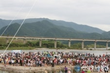 강원 영월 동강축제 맨손송어잡기 인기