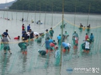 강진군, 제1회 서중어촌체험마을 개막이(개매기) 축제 성료