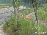 마산합포구 현동 예곡마을 산책길의 흥취