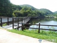 “가는길이 더욱 즐거워진 편백산림욕장 구경오세요”