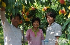 순천 월등 명품 복숭아 강소농 김선홍 대표