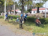 서귀포시 영천동, 관광지주변 예초작업 실시