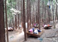 창원시, 숲속 웰빙 임도 개량∙보수 완료