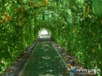 경남도농업자원관리원, 토종농산물 테마전시포 개방