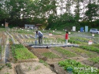 청주시, 23일 오송 텃밭농장 개장