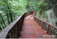 창원시, 돝섬 섬둘레길 새롭게 단장