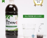 불로백세 산야초 발효액, 자연발효의 힘