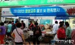 영양군 석보면, 찾아가는 직거래장터 열어