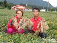 웰빙 건강약초로 억대 부농꿈 이뤄 화제