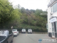 광주 동구, 국립공원 초입 1년째 고사목 방치