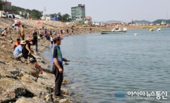 서산 삼길포항 조황 좋아 강태공 ‘북적’