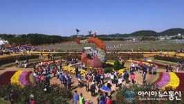 드림파크 국화축제, 지역축제로 확실한 자리매김