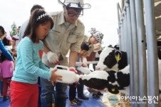 도심속 목장나들이 전주에서 체험 한마당
