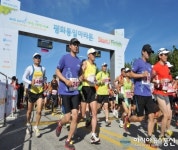 평화 통일을 기념합니다~