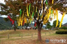 오방색으로 물드는 하동의 동정호