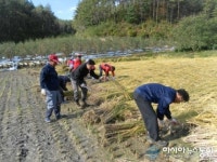봉화군 법전면, 가을철 농촌일손돕기 실시