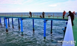 울진의 가을바다를 낚는 사람들